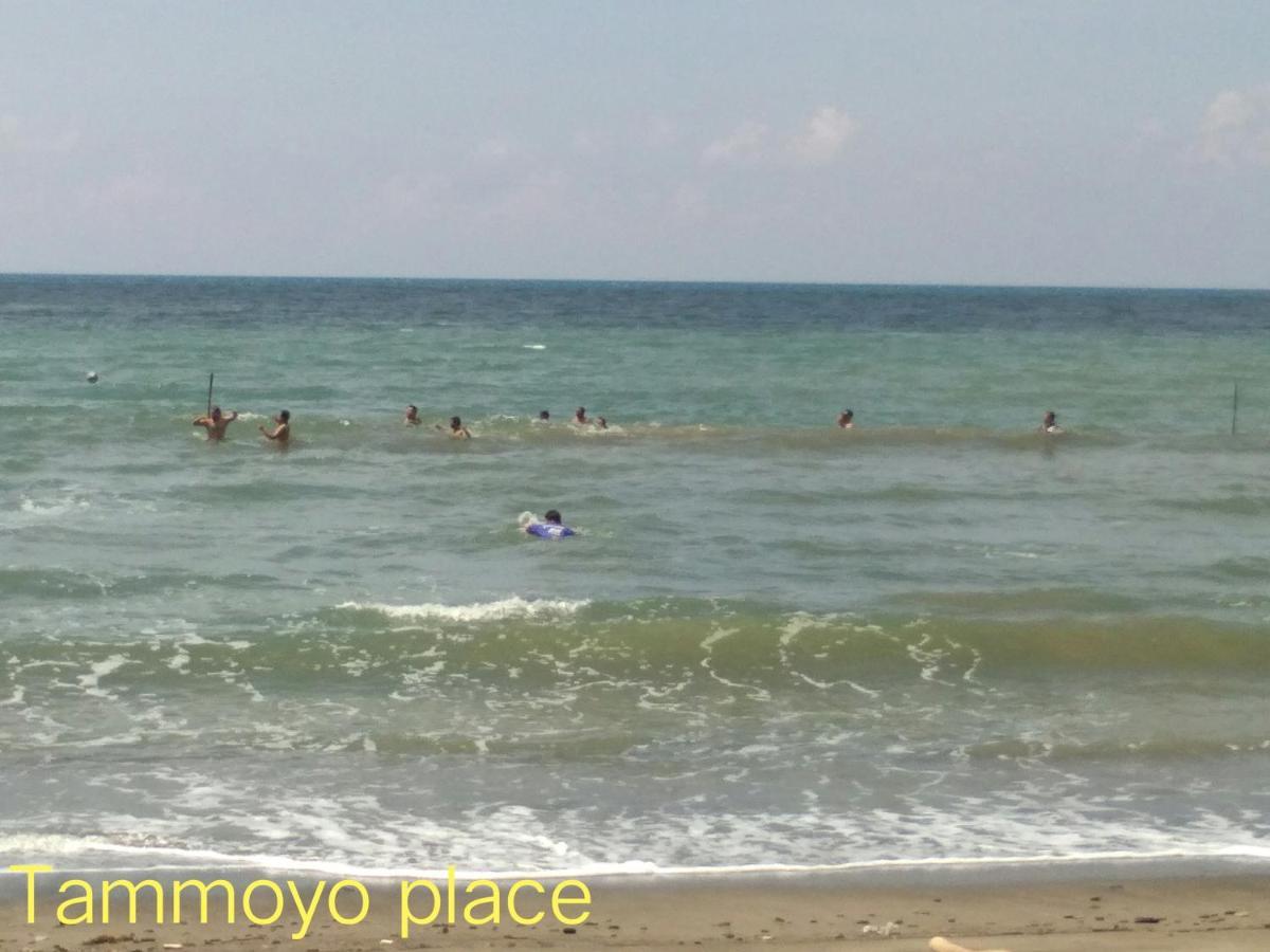 Tammoyo Place Кудат Екстериор снимка